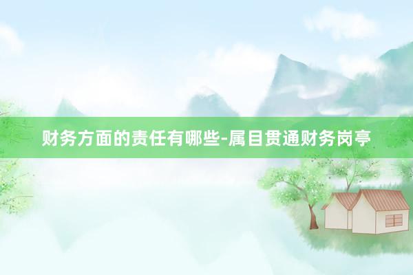 财务方面的责任有哪些-属目贯通财务岗亭
